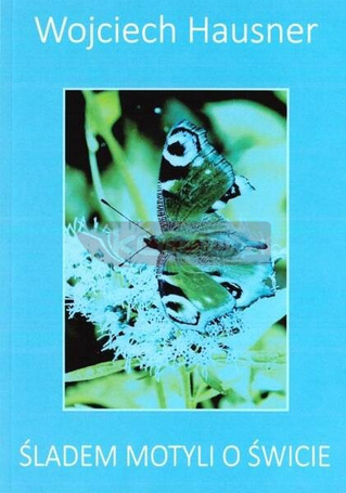 Śladem motyli o świcie