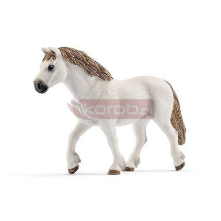 Schleich 13872 Klacz rasy Walijskiej