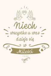 NT z infografikami B5 złota tł. Ślub