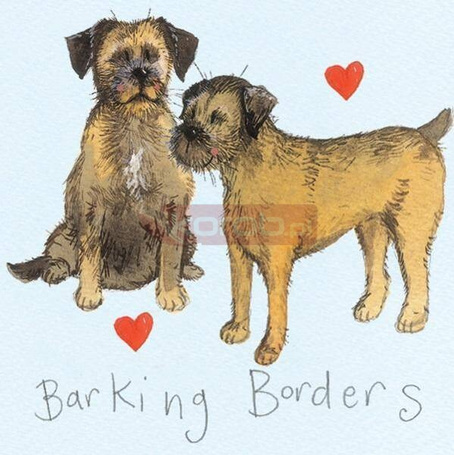 Magnes FM11 Border terrier