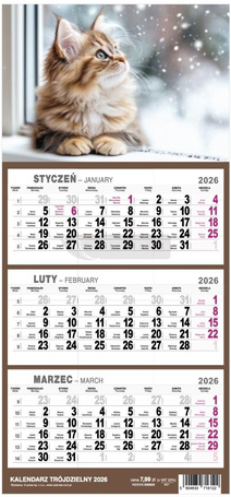 Kalendarz 2026 Trójdzielny Mały MIX