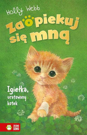 Zaopiekuj się mną. Igiełka, uratowany kotek