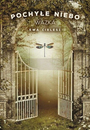 Pochyłe niebo T.3 Ważka