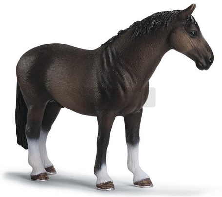 Ogier rasy Hannoverskiej