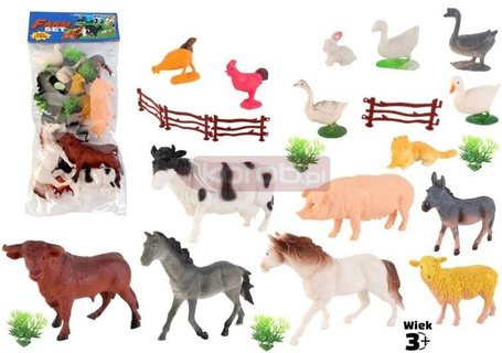 Zwierzęta domowe mix