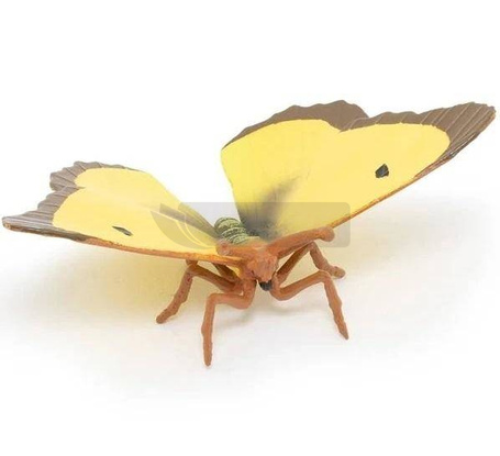 Szlaczkoń sylwetnik