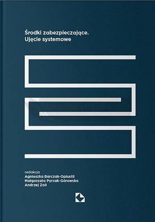 Środki zabezpieczające. Ujęcie systemowe