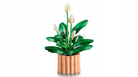 KLOCKI LEGO BOTANICALS 11504 Skrzydłokwiat, zestaw klocków +18 lat