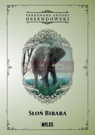 Słoń Birara