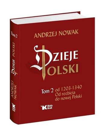 Dzieje Polski. Tom 2. Od rozbicia do nowej Polski