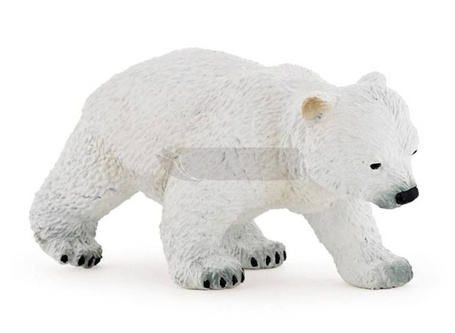 Niedźwiedź polarny młody