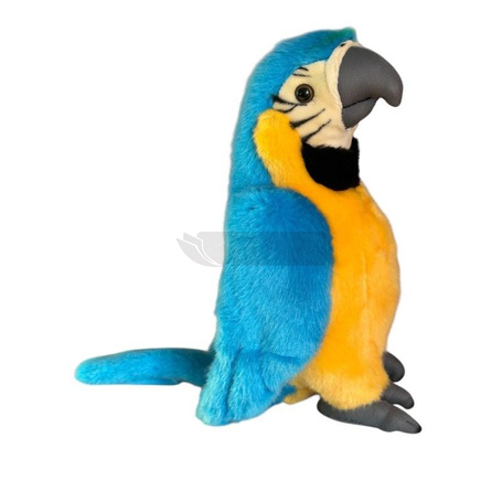 Papuga niebieska 28cm