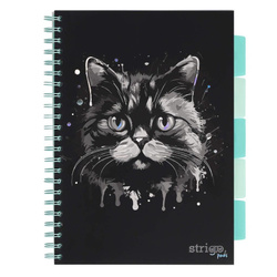 Kołozeszyt Pads A4/100K linia Kot