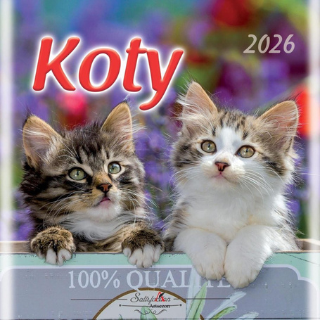 Kalendarz 2026 wieloplanszowy 33x33cm Koty