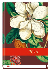 Terminarz 2026 B6 dzienny powszechny