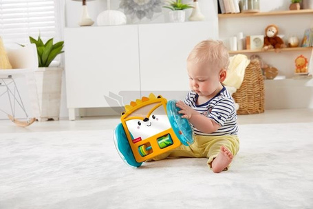 Fisher Price Kolorowe zwierzątka Jeż lusterko
