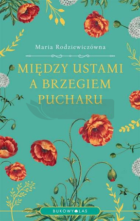Między ustami a brzegiem pucharu