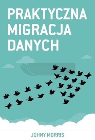 Praktyczna migracja danych