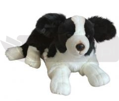 Pies Border collie 45cm