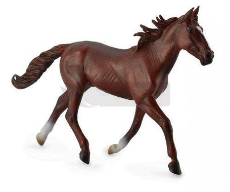 Ogier standardbred pacer kasztanowy
