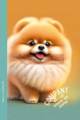Notatnik 105x165/64K linia pies chow-chow FRESH