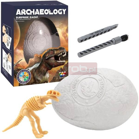 Wykopaliska paleontolog jajo dinozaura