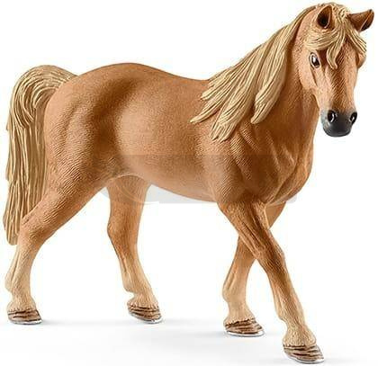 Klacz rasy Tennessee Walker saszetka