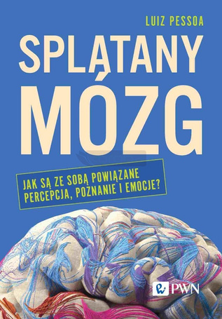 Splątany mózg. Jak są ze sobą powiązane percepcja.