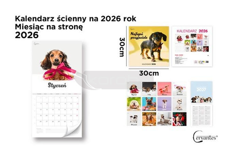 Kalendarz 2026 ścienny 30x30cm Psy
