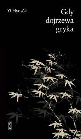 Gdy dojrzewa gryka