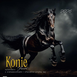 Kalendarz 2026 ścienny albumowy 30x30cm Konie