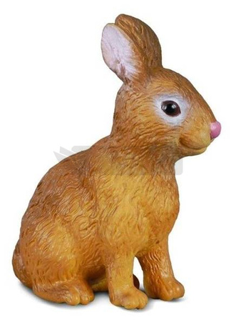 Królik