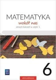 Matematyka Wokół nas SP 6/1 ćw. 2019 WSiP
