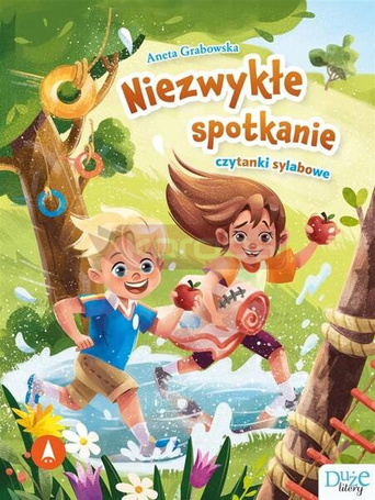 Niezwykłe spotkanie. Czytanki sylabowe
