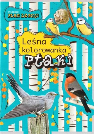 Leśna kolorowanka. Ptaki