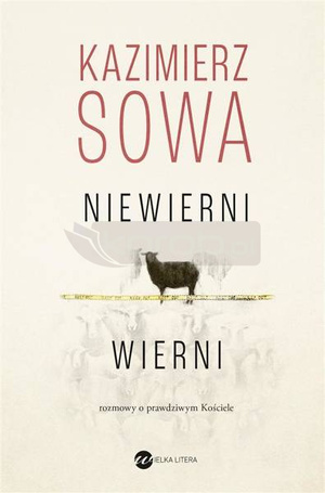 Niewierni wierni. Rozmowy o prawdziwym Kościele