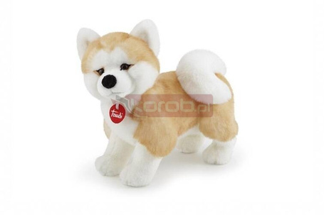 Maskotka Akita Ascanio TRUDI