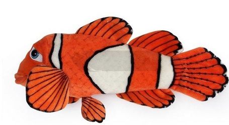 Ryba błazenek 45cm