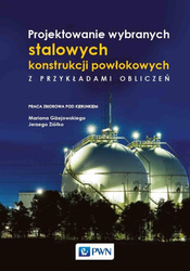 Projektowanie wybranych stalowych konstrukcji powł