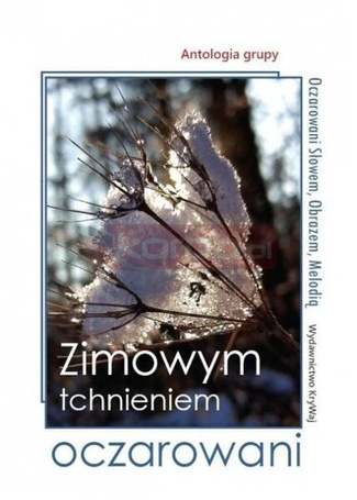 Zimowym tchnieniem oczarowani