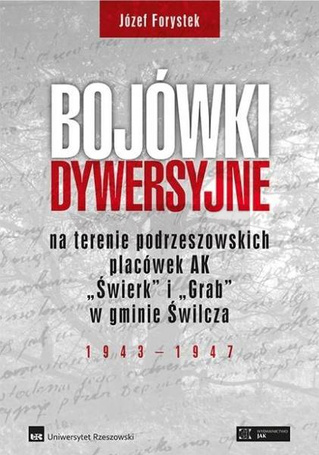 Bojówki dywersyjne TW