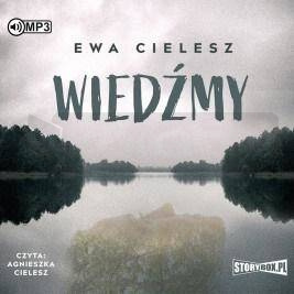 Wiedźmy audiobook