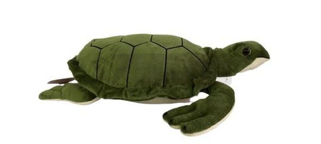 Żółw 45cm