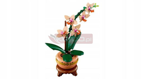 LEGO BOTANICALS 10343 MAŁA ORCHIDEA zestaw klocków kwiaty, prezent
