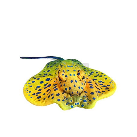 Płaszczka żółta 55cm