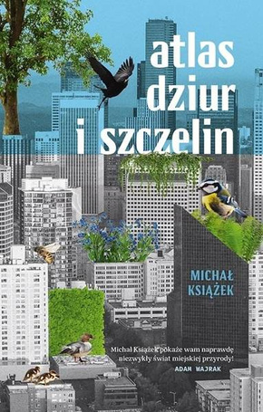 Atlas dziur i szczelin