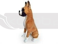 Pies Bokser 65cm