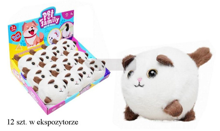Kotek skaczący
