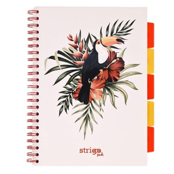 Kołozeszyt Pads A4/100K kratka Tropiki Pelikan