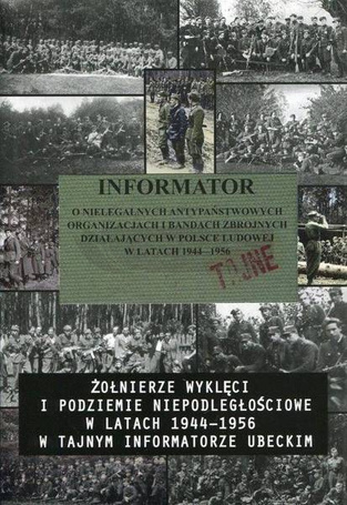Informator o nielegalnych antypaństwowych...